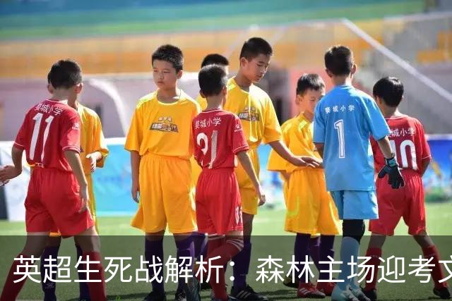 英超生死战解析：森林主场迎考文垂，积分差距下的战术博弈